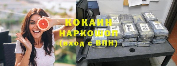 spice Бородино