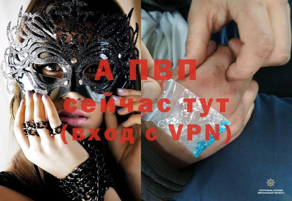 твердый Бронницы