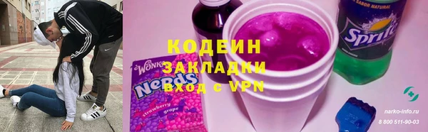 spice Бородино