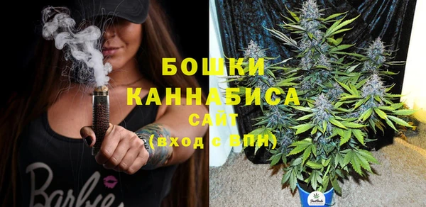 spice Бородино