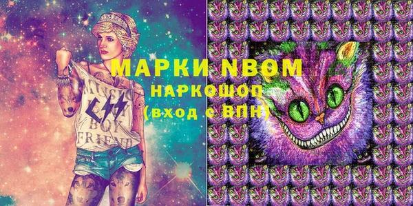 spice Бородино
