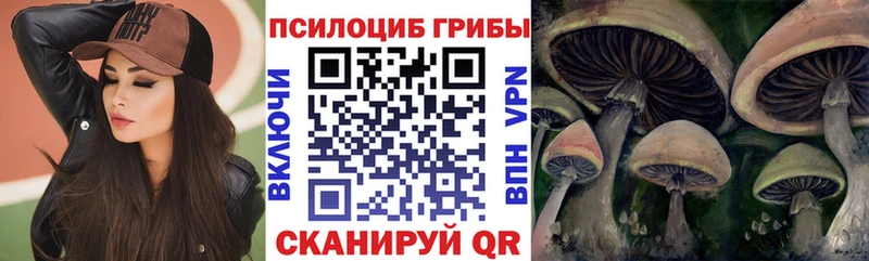 наркошоп  Карабаново  Псилоцибиновые грибы MAGIC MUSHROOMS 